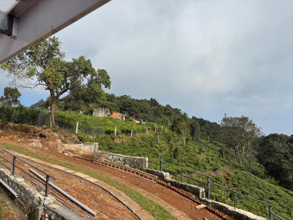 Outdoor view 2